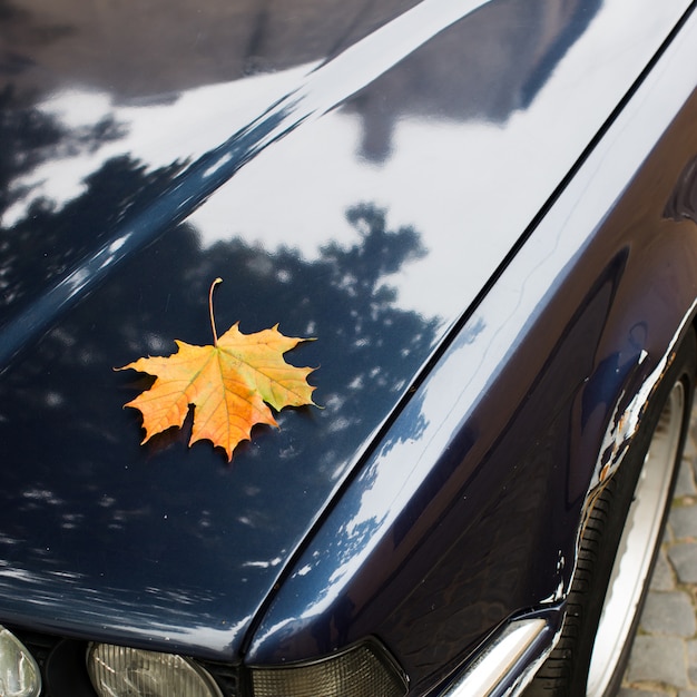 Foglia di acero gialla caduta che si trova sul cofano della macchina. Stagione autunnale