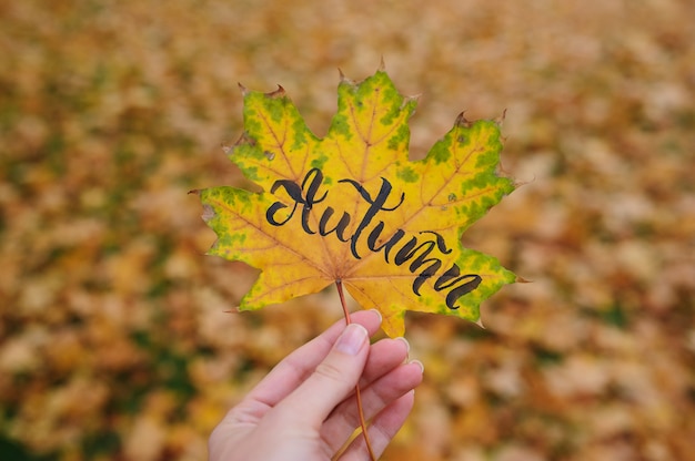 Foglia di acero nel parco di autunno con la parola calligrafica autunno