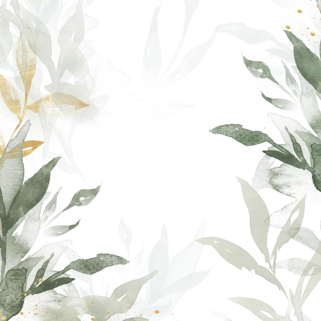 Foglia di acquerello con bordi png sfondo trasparente