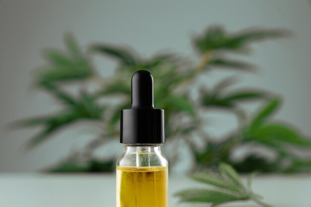 Foglia di canapa sativa di cannabis legalizzata e contenitore di olio di CBD con coperchio contagocce