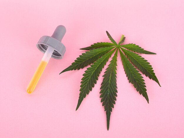 Foglia di cannabis e pipetta con estratto di concentrato di THC psicoattivo sul rosa