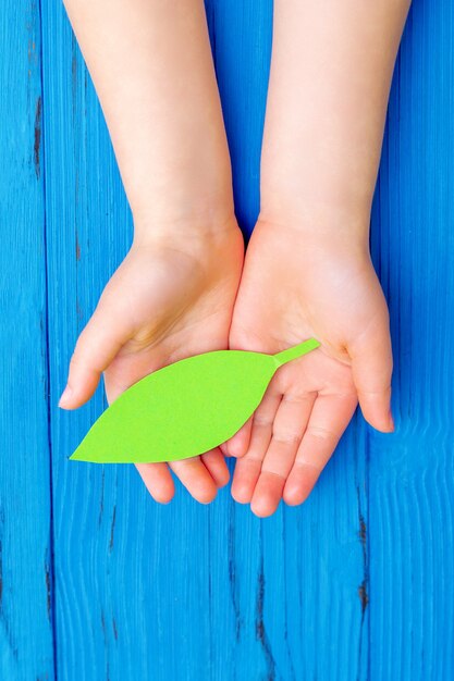 Foglia di carta verde nelle mani del bambino.