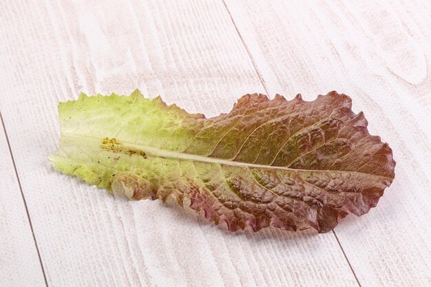 Foglia di insalata di lattuga verde fresca isolata