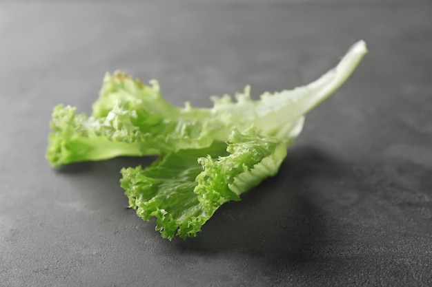 Foglia di insalata verde fresca sul tavolo
