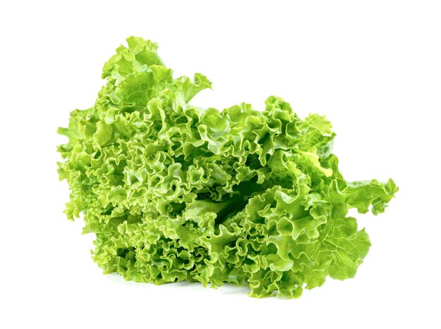 Foglia di lattuga isolata su sfondo bianco Disegno di foglie verdi Ingrediente per insalata