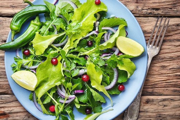 Foglia di lattuga vegetale