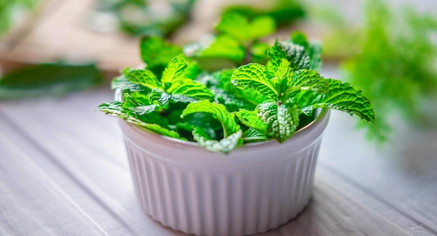 Foglia di menta o erbe di menta fresca in una ciotola bianca su sfondo bianco