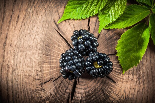 Foglia di mora su tavola di legno vintage