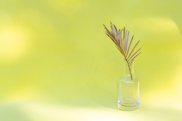 Foglia di palma dorata in vaso di vetro su stile minimal creativo