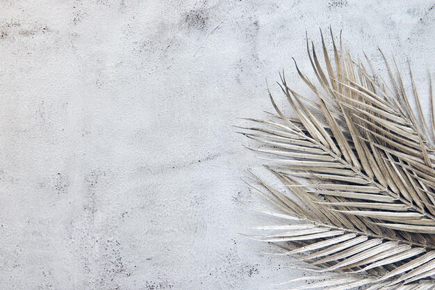 Foglia di palma lucida su muro di cemento. Fondo astratto della struttura con lo spazio della copia. Coriandoli glitter piatti