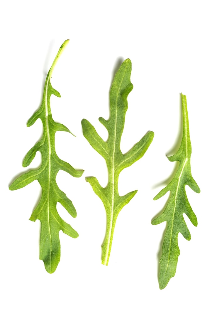 Foto foglia di rucola isolata su sfondo bianco, raccolta di foglie di rucola verde singola. uno stile di vita sano. cibo vegano.