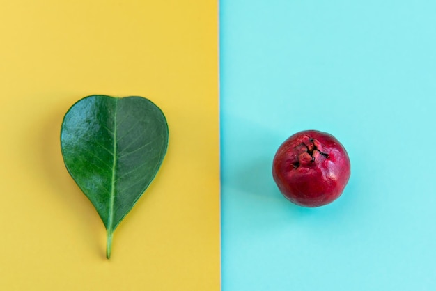 Foglia e frutta Cattley guava frutta rossa Psidium cattleyanum su sfondo verde e giallo