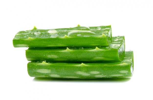 Foglia fresca di vera dell'aloe isolata sopra bianco