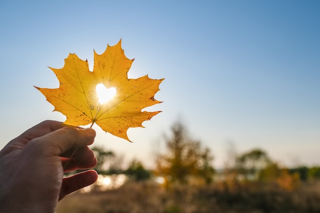 Foglia gialla di autunno dell'acero con cuore tagliato in una mano contro cielo blu