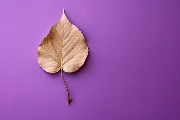 Foglia secca autunnale su sfondo viola con spazio per la copia