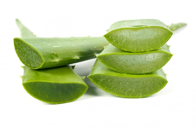 Foglia verde fresca di aloe vera. Erbe per la salute