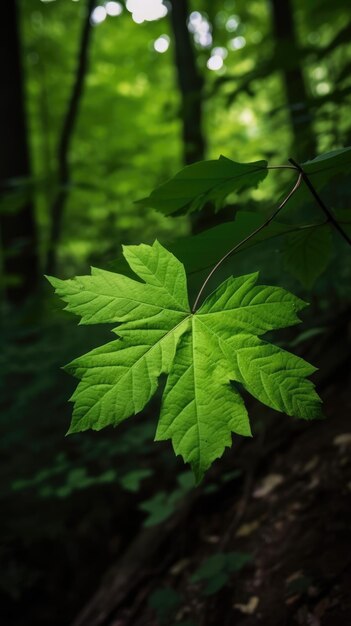 Foglia verde nella foresta ai generativa