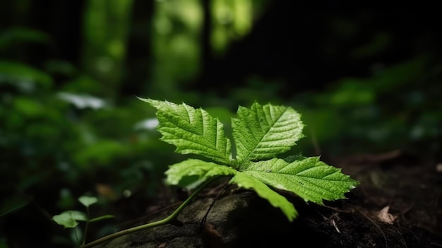 Foglia verde nella foresta ai generativa