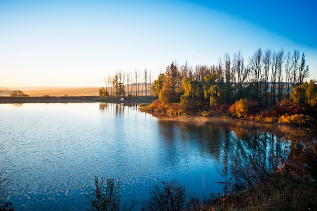 Fogliame di autunno colorato sul lago