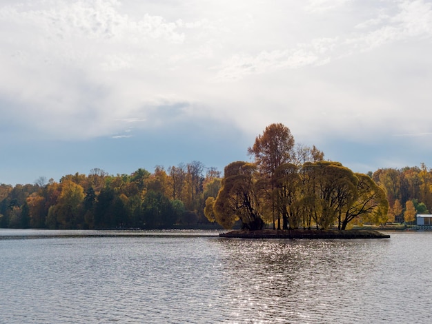 Fogliame di autunno con il paesaggio naturale di riflessione dell'acqua