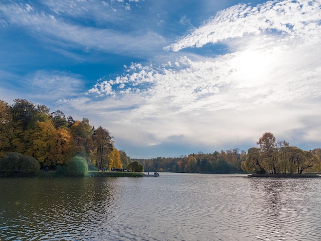 Fogliame di autunno con il paesaggio naturale di riflessione dell'acqua