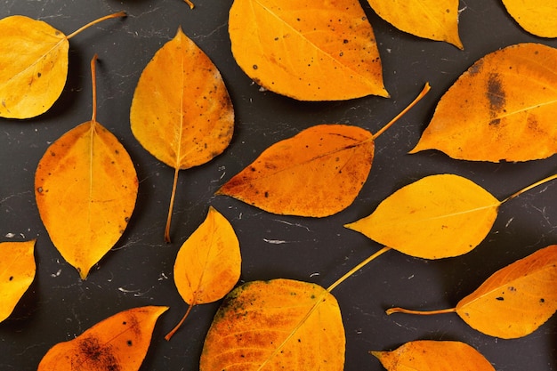 Foglie autunnali di colore arancione su marmo nero come tavola, vista dall'alto