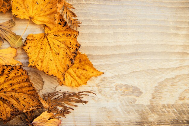 Foglie autunnali gialle su fondo in legno chiaro. Spazio vuoto per il testo. La consistenza delle foglie. Sfondo autunnale.