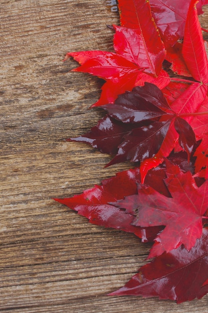 Foglie autunnali viola e rosse su fondo strutturato in legno