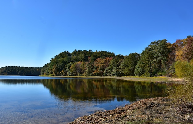 Foglie colorate che cambiano sugli alberi che circondano un lago nel New England