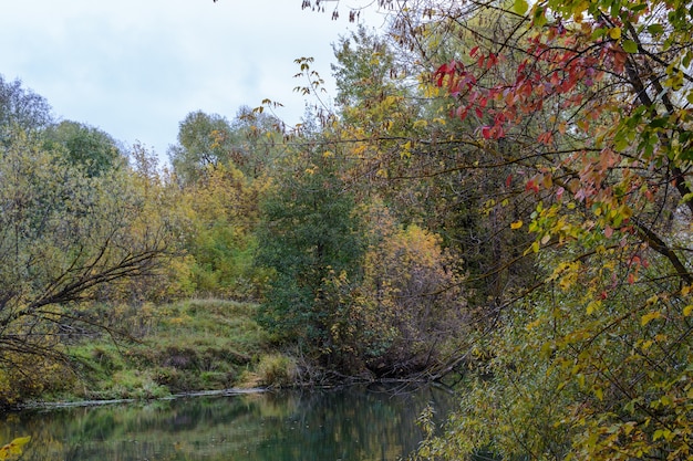 Foglie colorate e multicolori di alberi in un riflesso del fiume. Mattina di inizio autunno sul fiume Kazanka a Kazan. Russia.