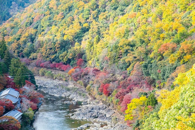 Foglie colorate montagne e fiume Katsura nel punto di riferimento del paesaggio di Arashiyama e popolare per le attrazioni turistiche a Kyoto in Giappone Autunno stagione autunnale Vacationholiday and Sightseeing concept