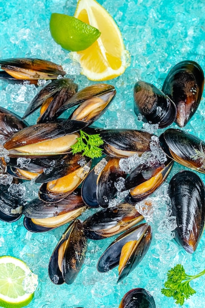 foglie crude aperte di cozze di fiume di mare, ghiaccio marino blu sul ghiaccio, fette di limone e lime vengono affettate