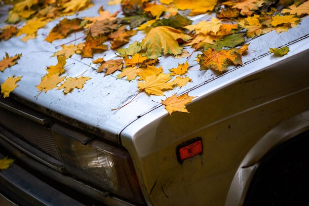 Foglie d'acero cadute su un vecchio cofano per auto battuto da vicino sullo sfondo autunnale con messa a fuoco selettiva