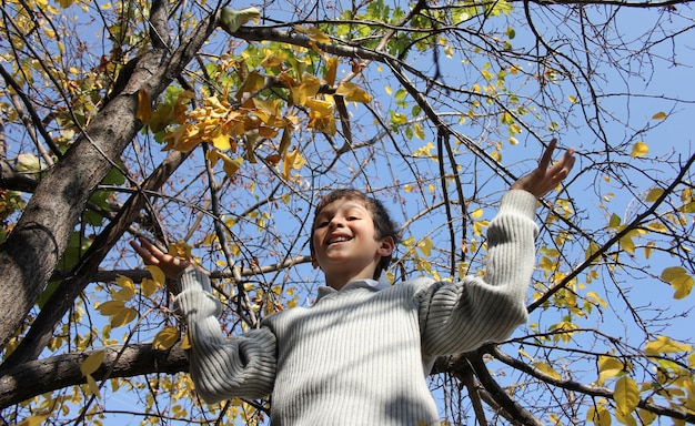 foglie d'autunno e bambino