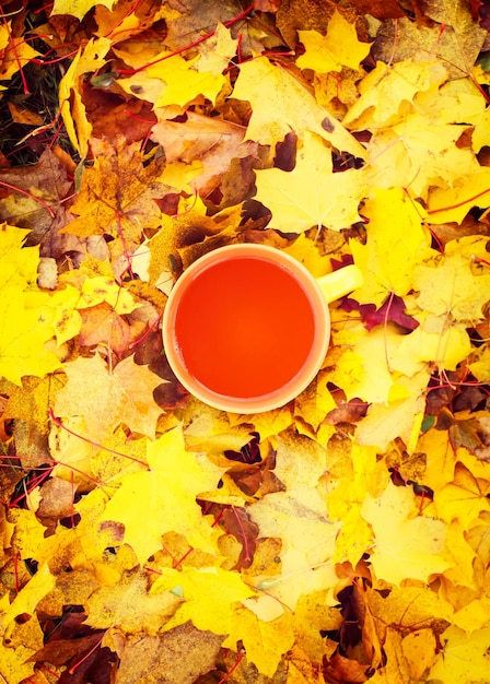 Foglie d'autunno e tazza di tè