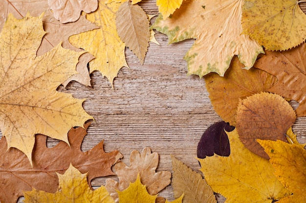 Foglie d&#39;autunno su sfondo in legno