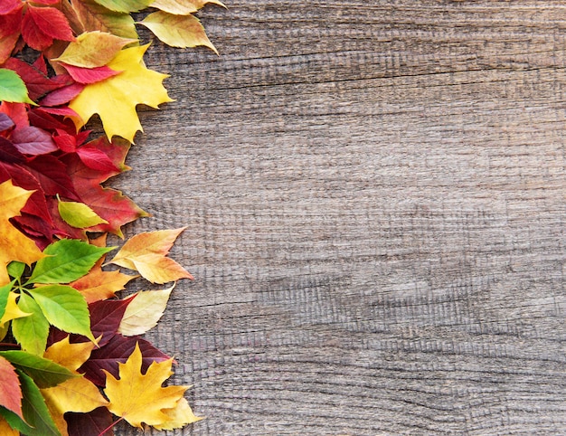 foglie d'autunno su un vecchio tavolo di legno