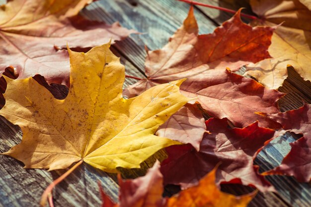 Foglie di acero cadute di autunno su un vecchio tavolo di legno