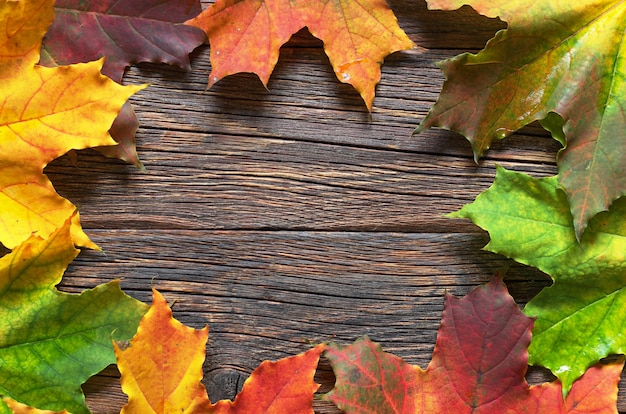 Foglie di acero di autunno su fondo di legno vecchio