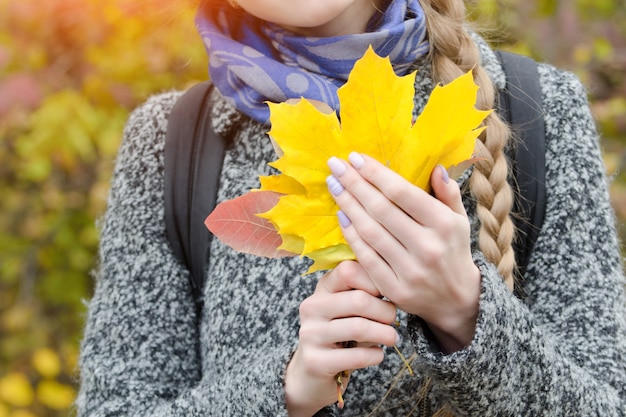 Foglie di acero gialle in mani femminili