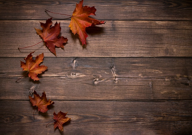 Foglie di acero rosse su fondo di legno