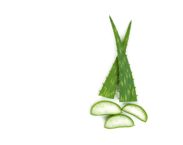 Foglie di aloe vera isolate su bianco