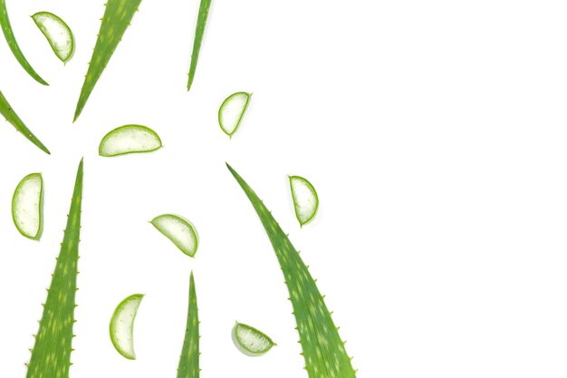 Foglie di aloe vera isolate su bianco