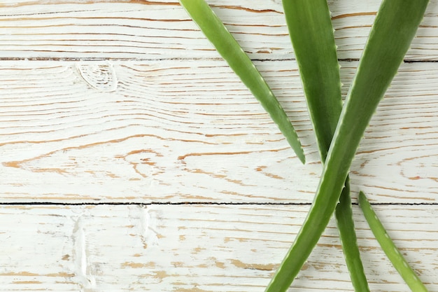 Foglie di aloe vera su fondo di legno bianco