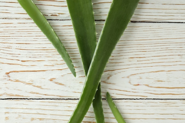 Foglie di aloe vera su fondo di legno bianco