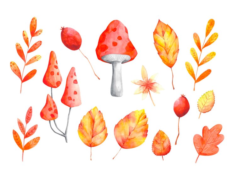 Foto foglie di autunno dell'acquerello, set di clip art di funghi isolato su bianco. arancio, foglia rossa, clipart di bacche