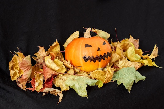 Foglie di autunno della zucca di Halloween su una priorità bassa nera