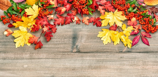 Foglie di autunno e bacche su fondo di legno rustico. Immagine tonica in stile vintage