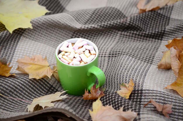 Foglie di autunno e tazza di caffè fumante calda si trovano sul plaid a scacchi all'aperto