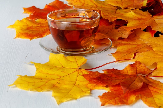 Foglie di autunno e tazza fumante calda di tè